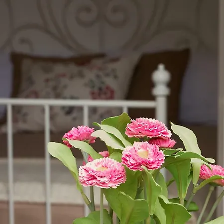 Dafni - Shabby Chic Guest house